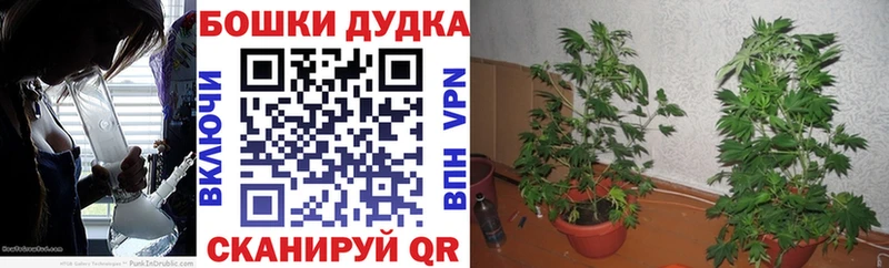 Где купить наркотики Белый Конопля ТГК COCAIN ГАШ Меф Амфетамин