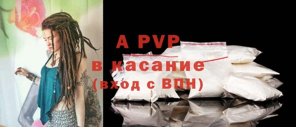 трава Осинники