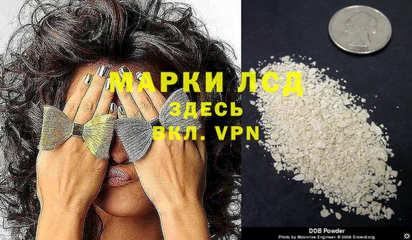 трава Осинники