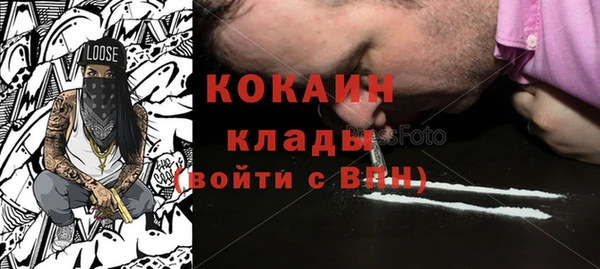 трава Осинники