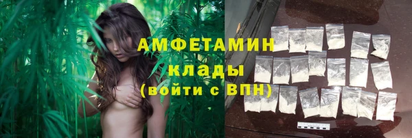 трава Осинники