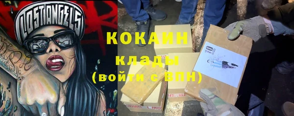 трава Осинники