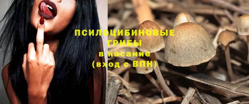 Галлюциногенные грибы Magic Shrooms  Белый 