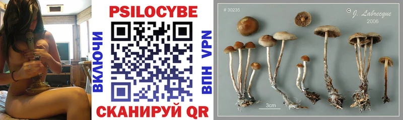 Псилоцибиновые грибы Magic Shrooms  shop официальный сайт  Белый 